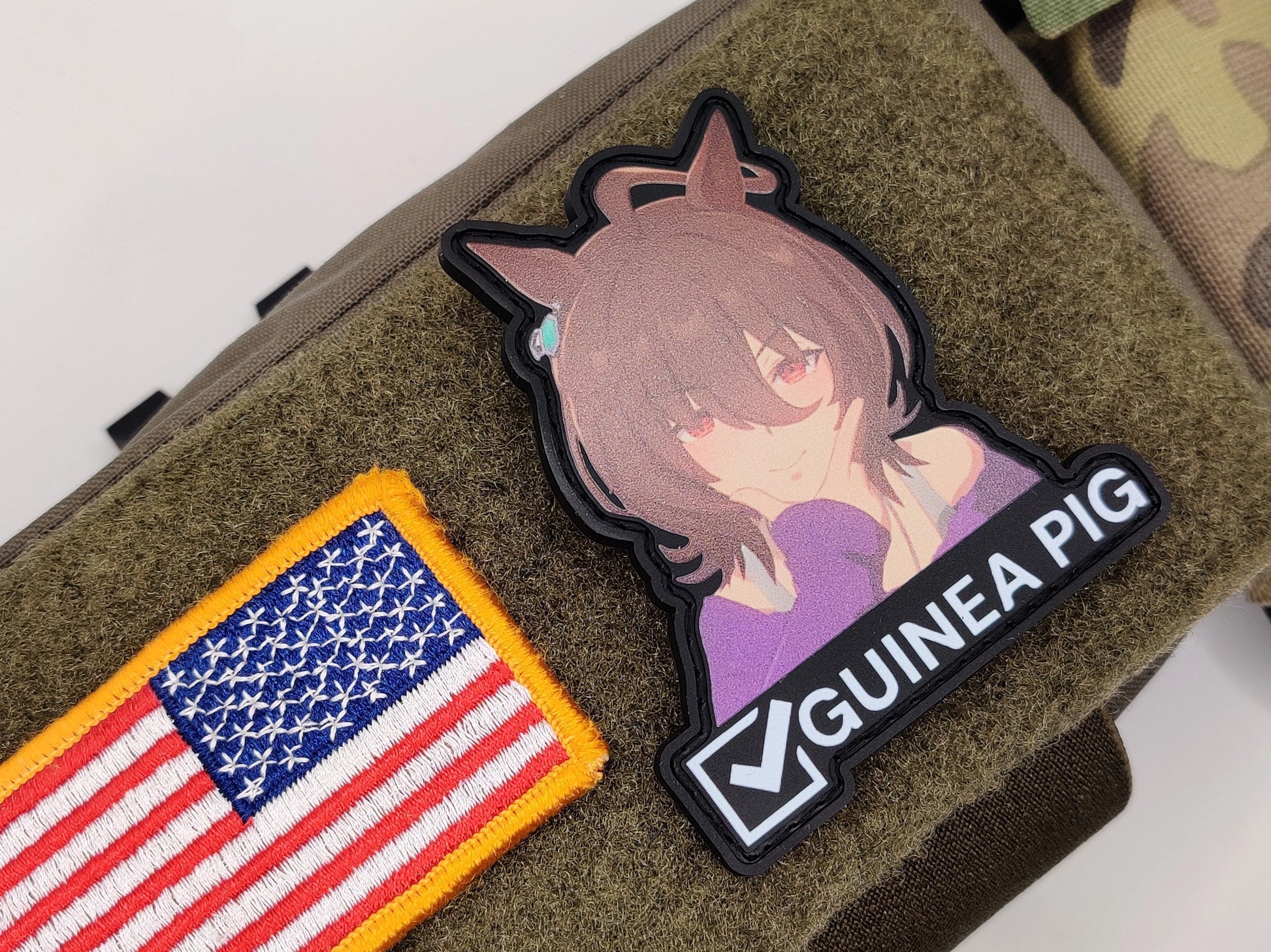 Agnes's Guinea Pig Patch with an American flag and a character labeled 'Guinea Pig' on a green background